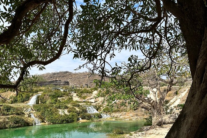 East Salalah mountain Safari - Full day tour