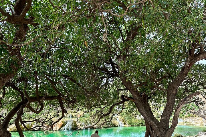 East Salalah mountain Safari - Full day tour
