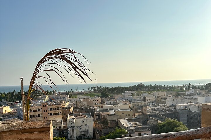 East Salalah mountain Safari - Full day tour