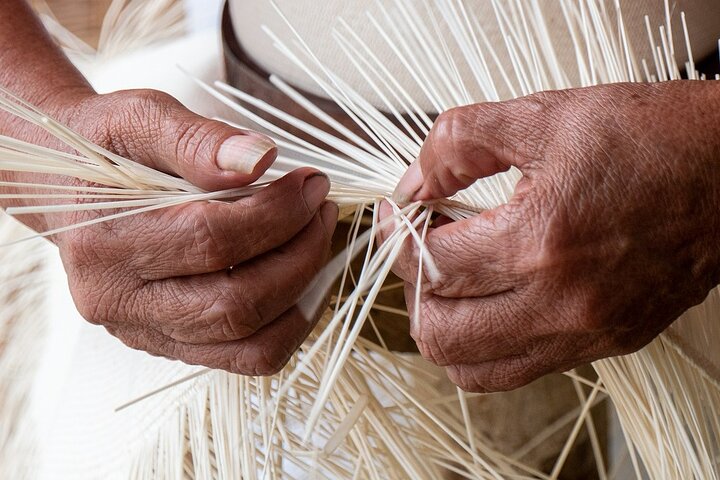 Taste of Ecuador: Fish Market, Forest trail, Local Food & Crafts
