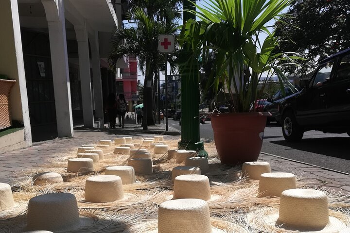 Taste of Ecuador: Fish Market, Forest trail, Local Food & Crafts