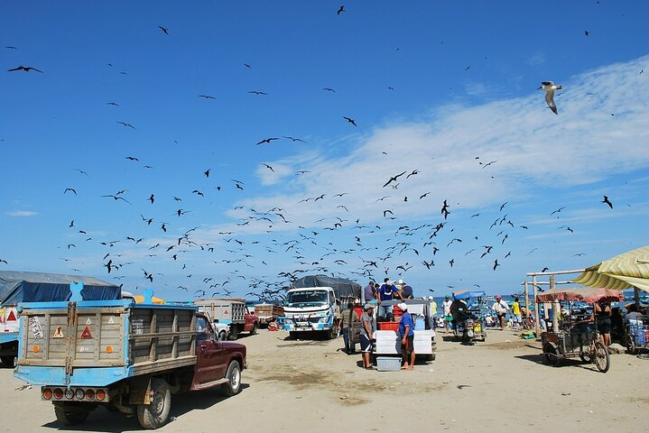 Taste of Ecuador: Fish Market, Forest trail, Local Food & Crafts