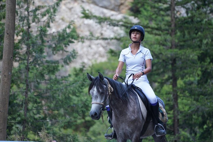 1 or 2 Hours PRIVATE Horse Riding in the forest in Kemer Antalya