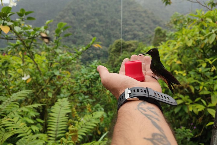 Mindo Cloud Forest Private Tour: Chocolate, Coffee, Birds, Nature