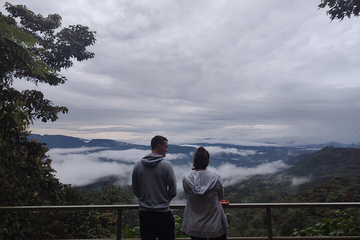 Mindo Cloud Forest Private Tour: Chocolate, Coffee, Birds, Nature