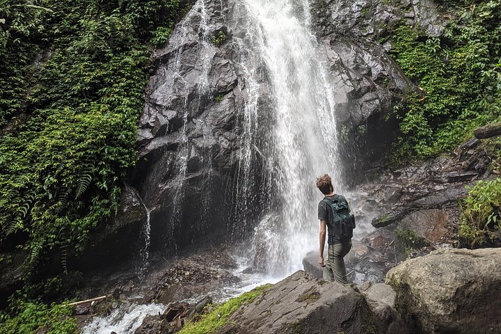 Mindo Cloud Forest Private Tour: Chocolate, Coffee, Birds, Nature