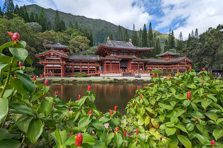 Oahu: Full or Half Day Grand Circle Island Tour