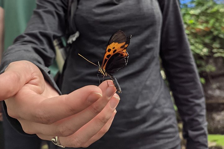 Mindo Cloud Forest Private Tour: Chocolate, Coffee, Birds, Nature