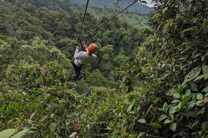 Mindo Cloud Forest Private Tour: Chocolate, Coffee, Birds, Nature