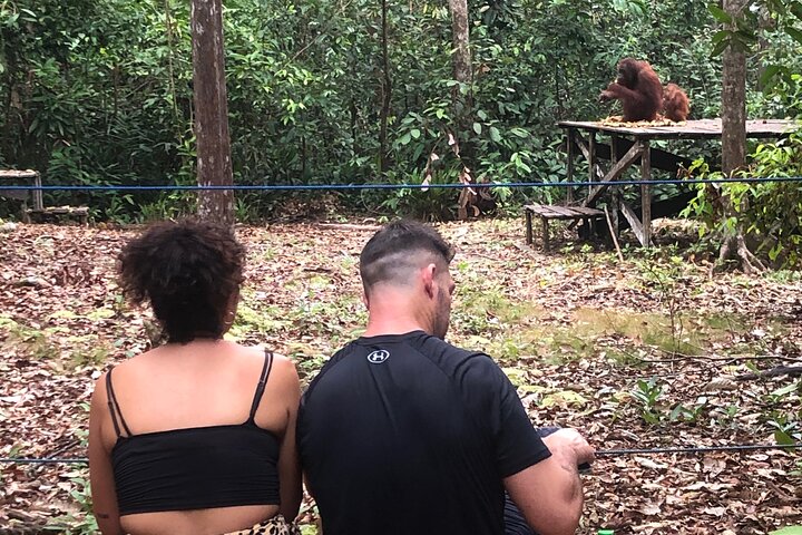 Orangutan Tanjung Puting Honeymoon CoupleTour