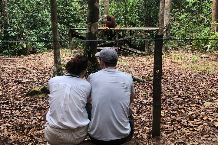 Orangutan Tanjung Puting Honeymoon CoupleTour