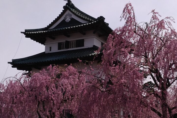 Half-Day Hirosaki Castle and Samurai house Tour with Guide