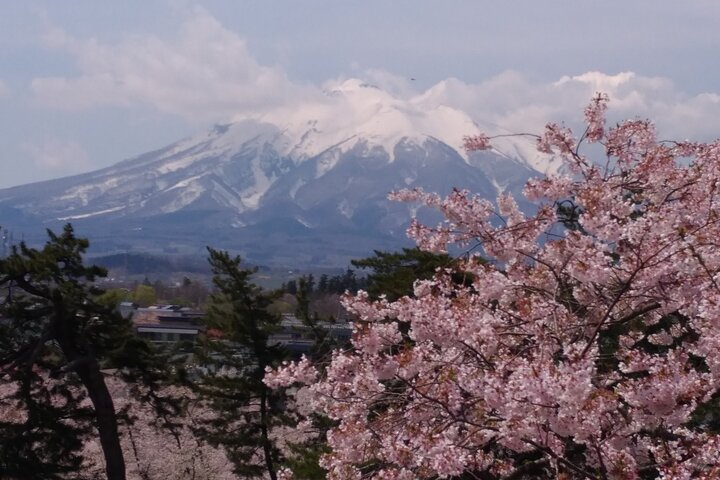 Half-Day Hirosaki Castle and Samurai house Tour with Guide