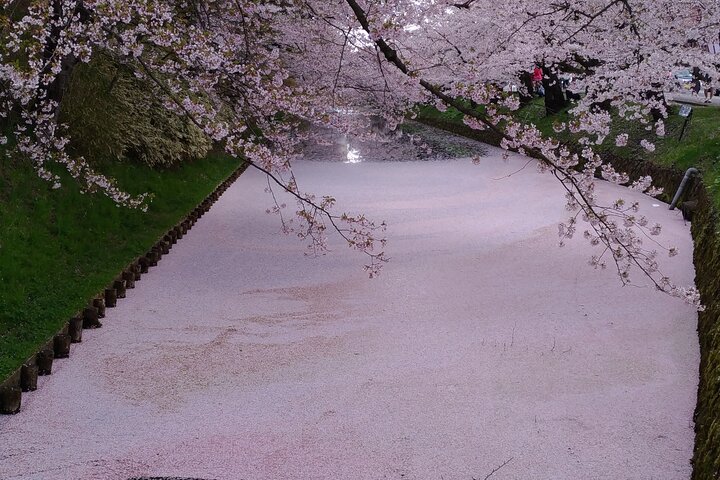 Half-Day Hirosaki Castle and Samurai house Tour with Guide