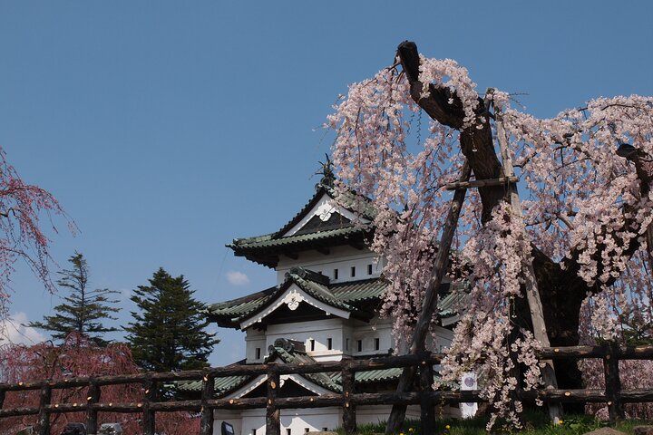 Half-Day Hirosaki Castle and Samurai house Tour with Guide
