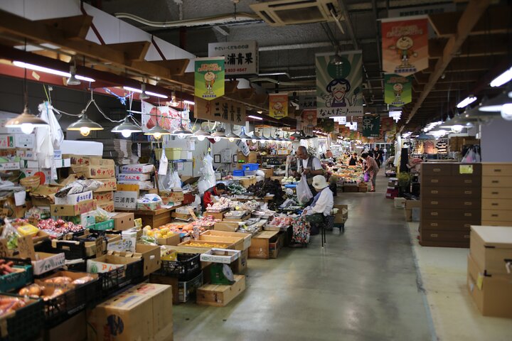 Half Day Private Guided Walking Tour in Akita City Center