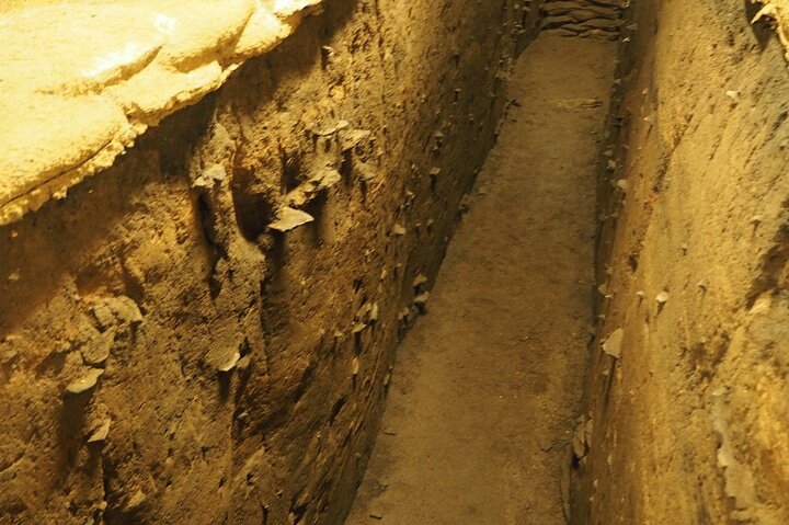 Half-day JOMON World Cultural Heritage Sites Tour in Aomori City
