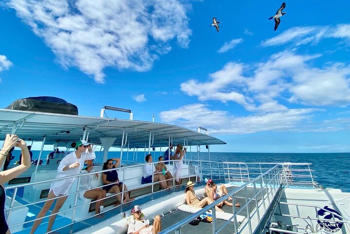 Flamingo, Guanacaste All Inclusive Catamaran Snorkel Adventure