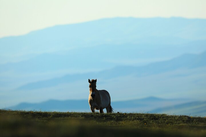 4 Days-The Best of Mongolia Collection tour