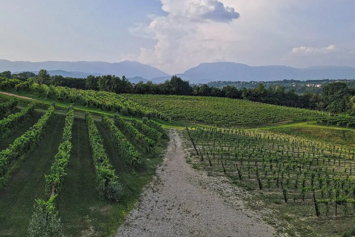 Romantic Evening Tasting with the Best Prosecco