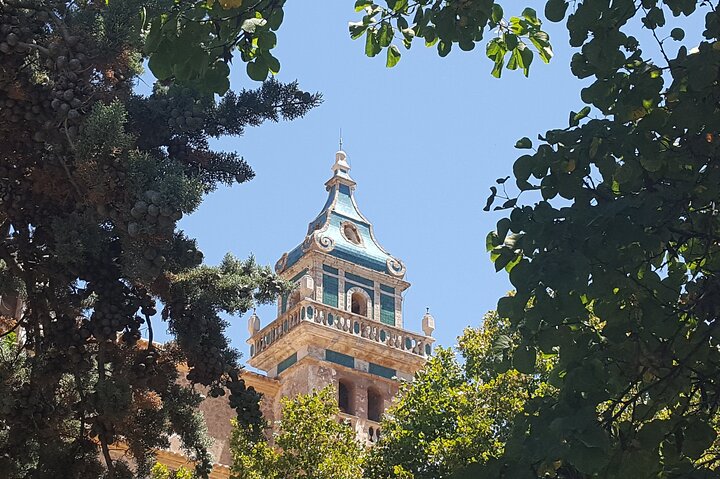 Mallorca's West Coast & Orange Valley Soller incl. pick-up North Coast