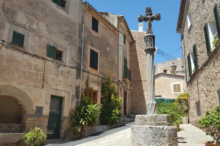 Mallorca's West Coast & Orange Valley Soller incl. pick-up North Coast