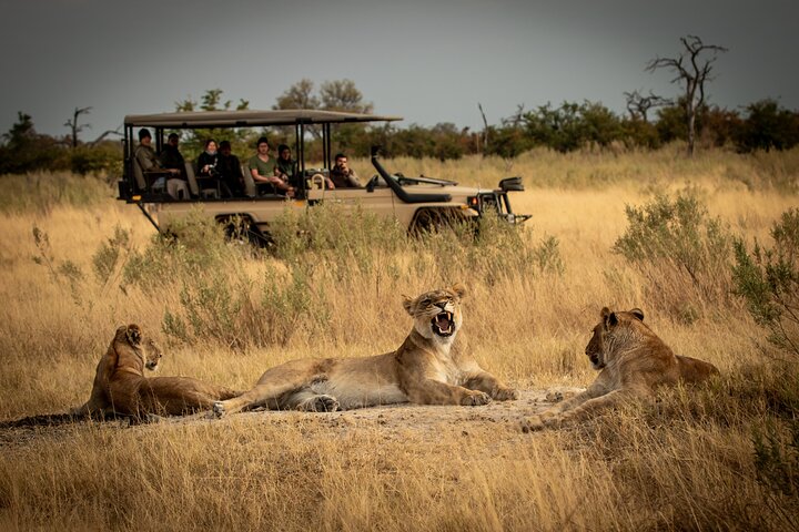 1-Day Shared Safari to Nyerere NP from Zanzibar