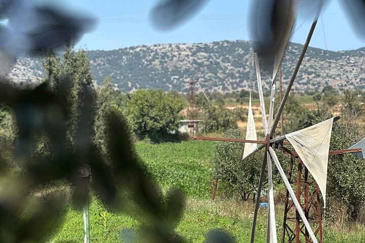 From Rethymno Private Day Tour Knossos-Lassithi Plateau
