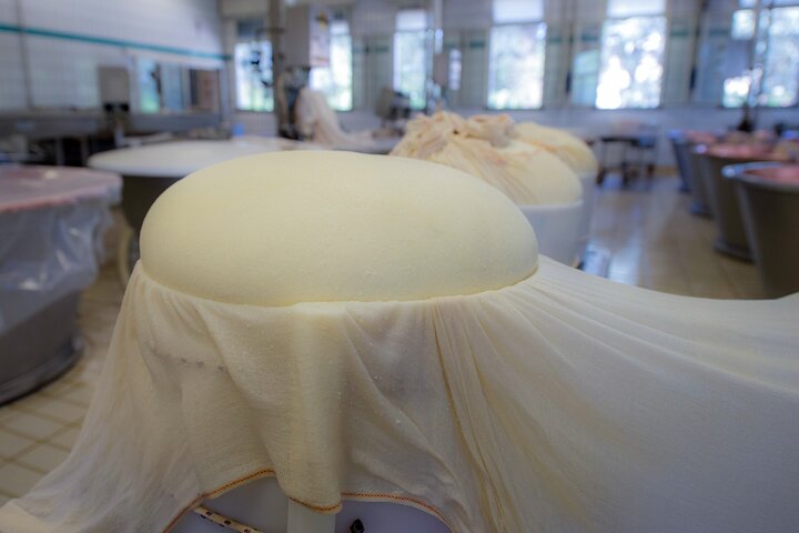Secrets of Parmigiano Reggiano and Balsamic Vinegar