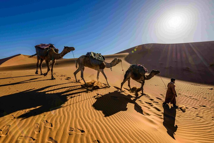 Pushkar: Sunset Camel Safari with Hotel Pick up & Drop off