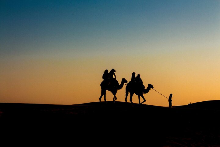 Pushkar: Sunset Camel Safari with Hotel Pick up & Drop off