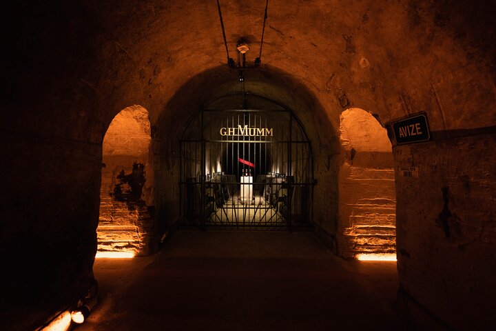 Reims or Epernay: Full day Champagne Mumm, family grower & lunch