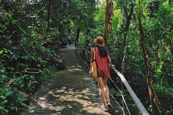 Phong Nha - Paradise Cave or Dark Cave - 1 Day All Inclusive
