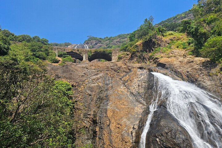 Dudhsagar Waterfalls, Jeep Safari & Spice Plantation private tour
