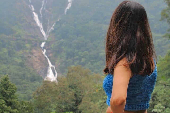 Dudhsagar Waterfalls, Jeep Safari & Spice Plantation private tour
