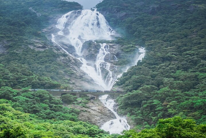 Dudhsagar Waterfalls, Jeep Safari & Spice Plantation private tour