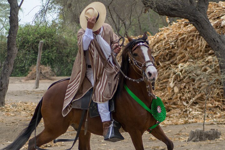 4-Hours Horse riding, Inca pyramids in world's largest dry forest