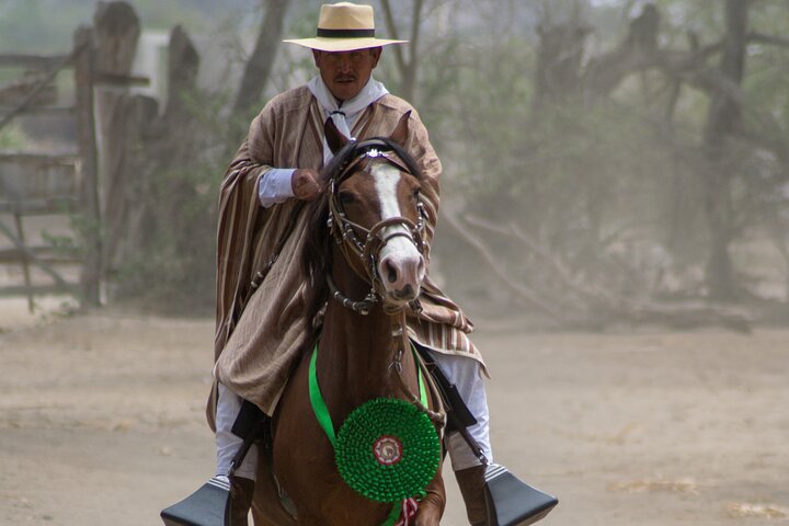 4-Hours Horse riding, Inca pyramids in world's largest dry forest