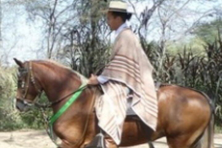 4-Hours Horse riding, Inca pyramids in world's largest dry forest
