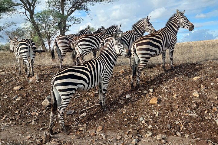 Private Adventure: Nairobi park, Elephants & Giraffe centre