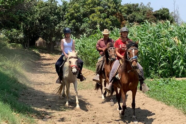 4-Hours Horse riding, Inca pyramids in world's largest dry forest