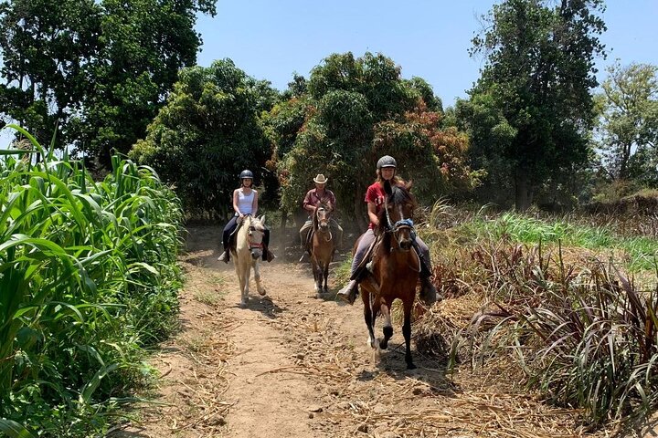 4-Hours Horse riding, Inca pyramids in world's largest dry forest