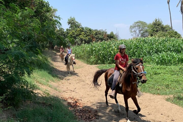 4-Hours Horse riding, Inca pyramids in world's largest dry forest