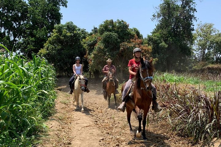 4-Hours Horse riding, Inca pyramids in world's largest dry forest