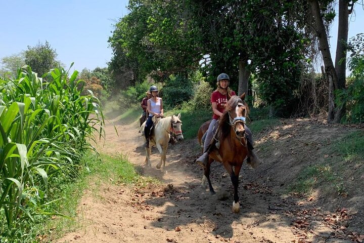 4-Hours Horse riding, Inca pyramids in world's largest dry forest