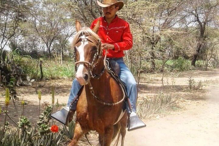 4-Hours Horse riding, Inca pyramids in world's largest dry forest