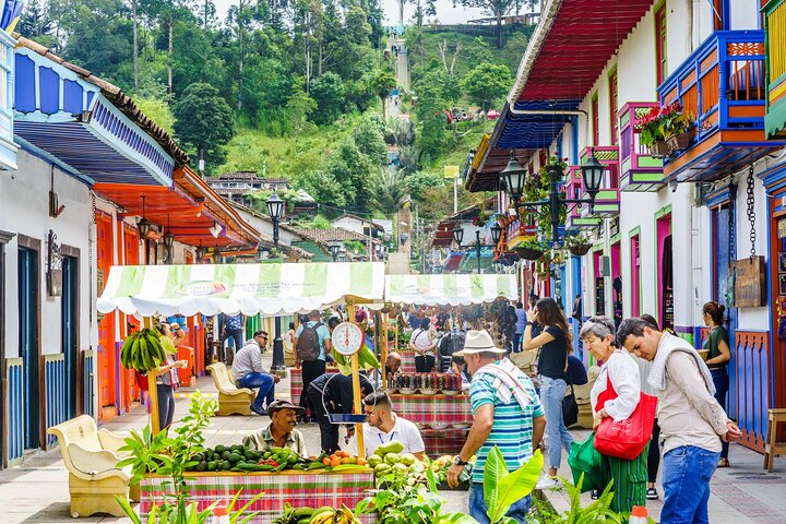 Filandia, Salento and Cocora Valley Tour