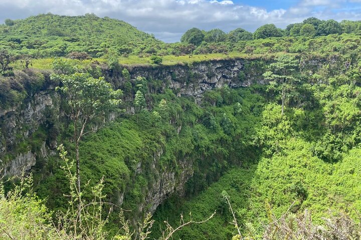 Giant Tortoises Tour, Lava Tunnels & Stop at Los Gemelos Craters”