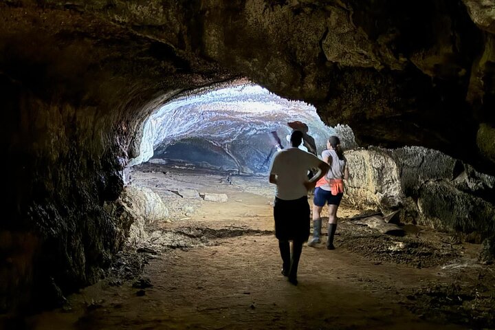Giant Tortoises Tour, Lava Tunnels & Stop at Los Gemelos Craters”