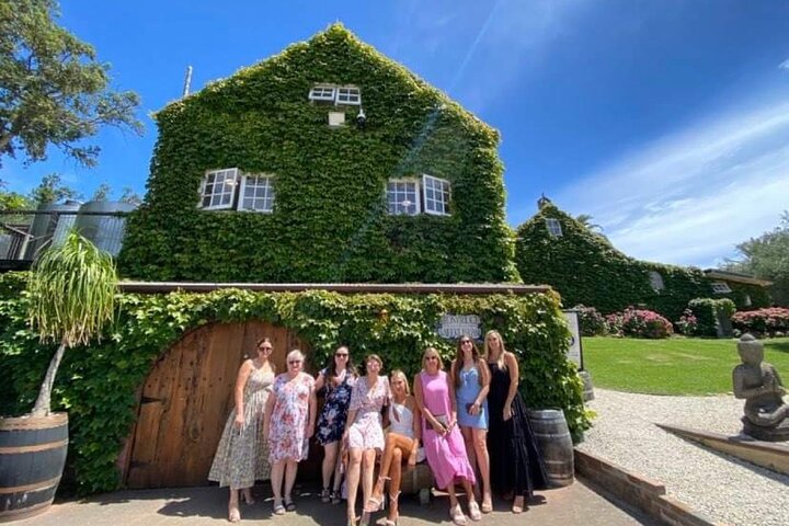 Auckland: Waiheke Island Scenic Tour 4 Vineyards, Local Guides